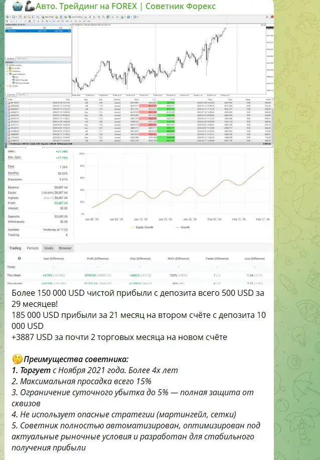 expert ea fx expert ea fx