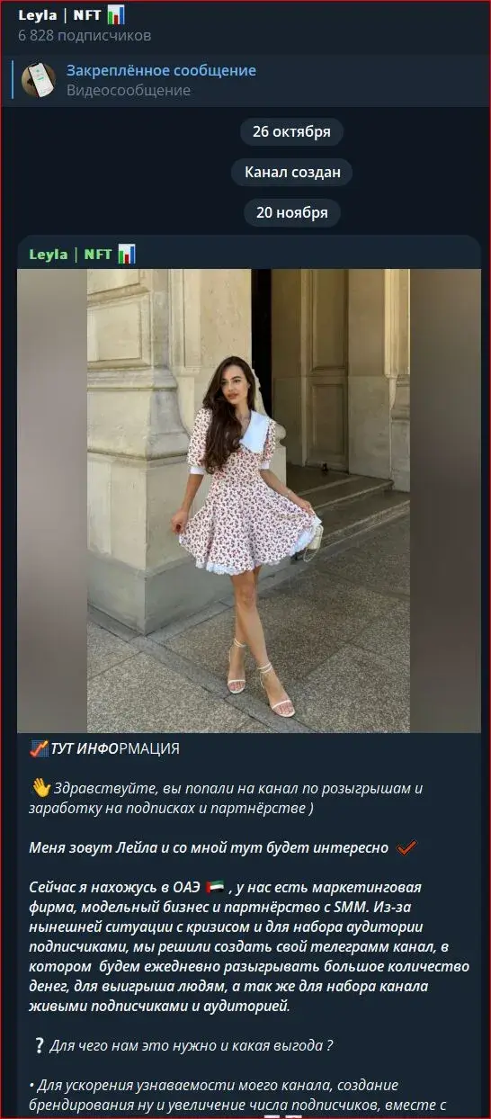 лейла нфт