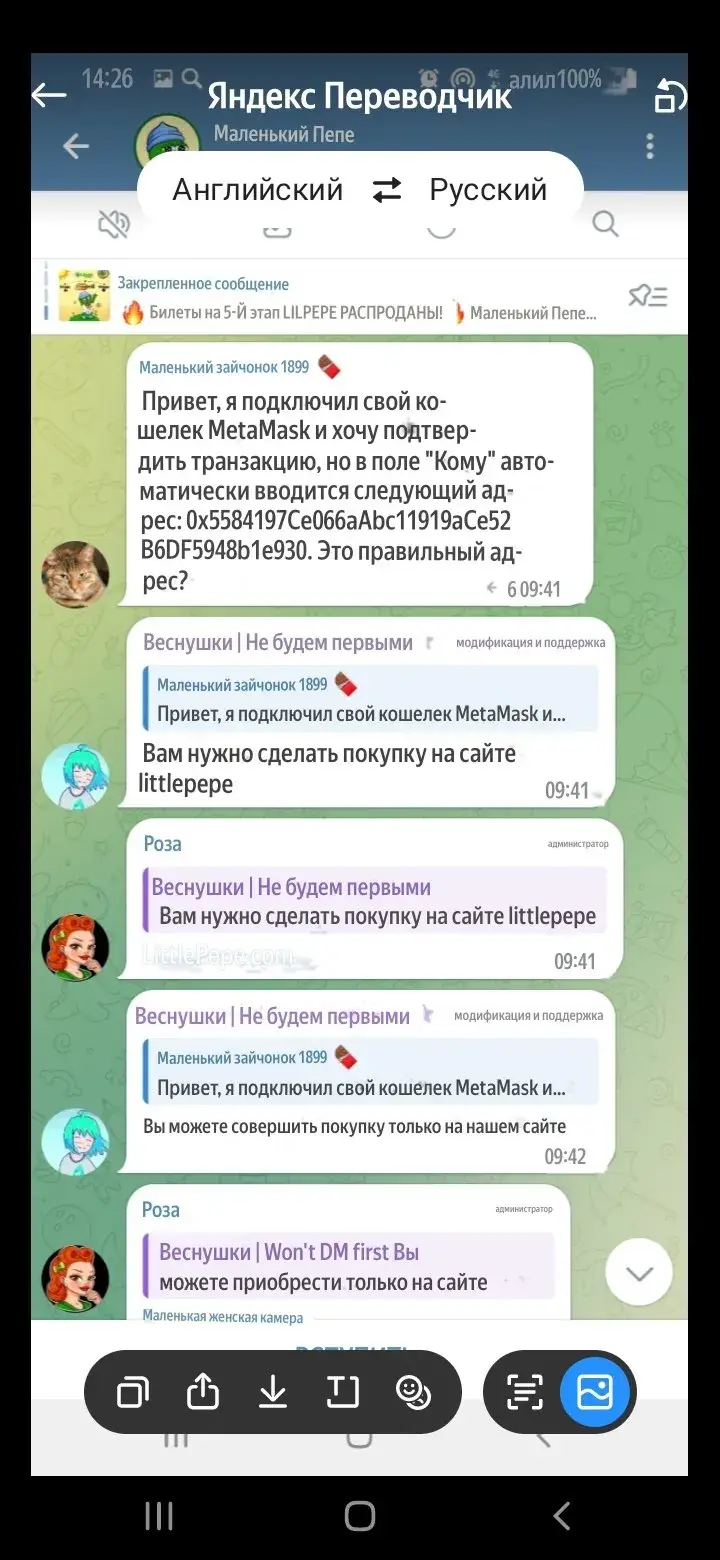 литле пепе