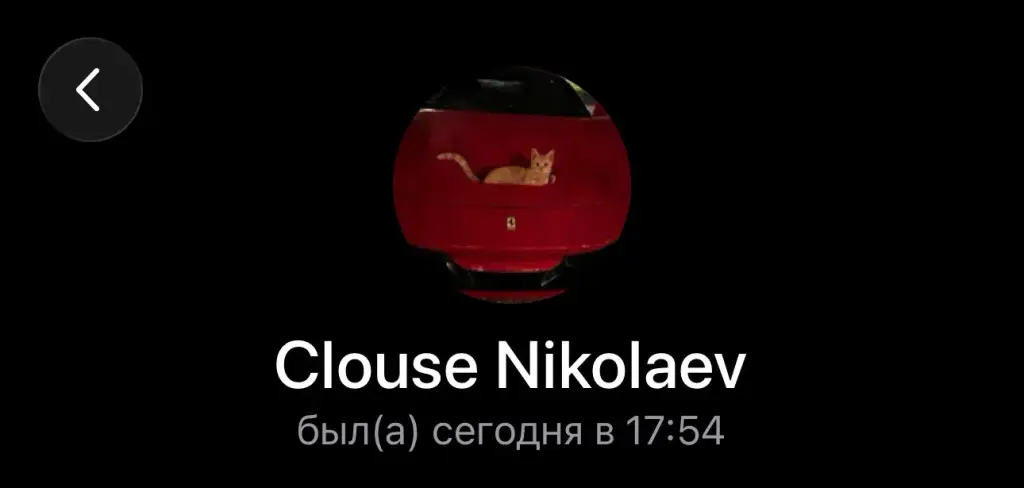 ВЗРОСЛЫЕ ДАМЫ