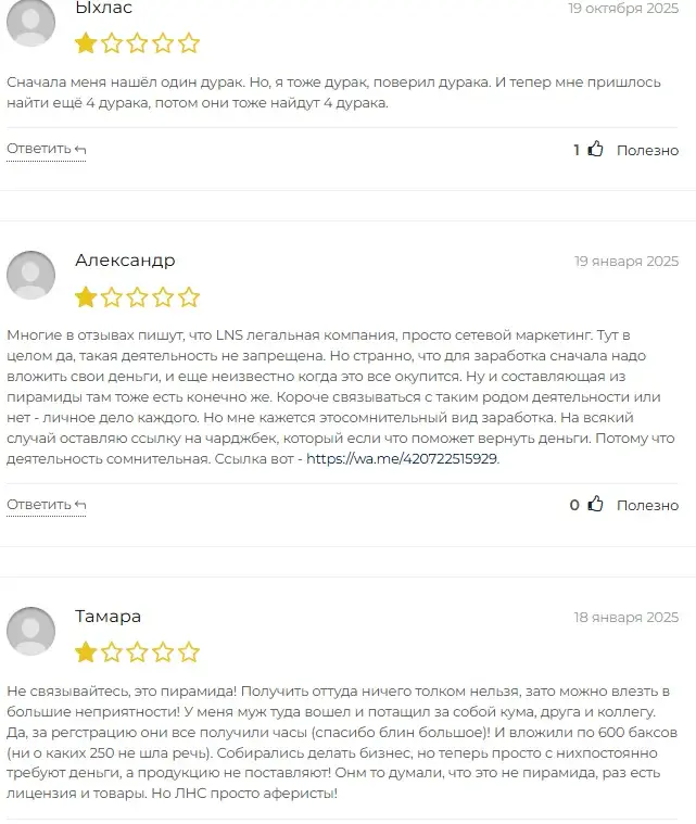 фирма лнс