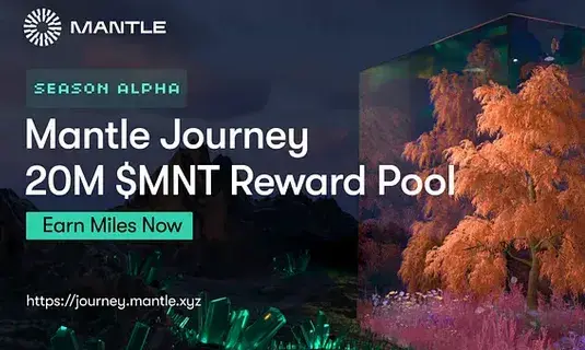 mantle network вывод