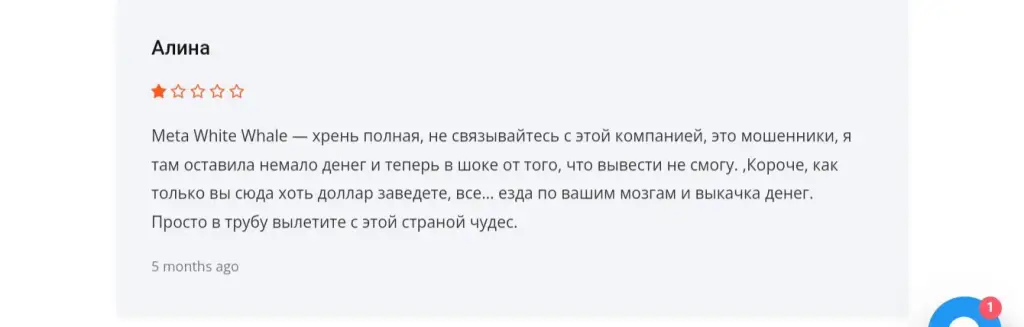 metawhitewhale брокер