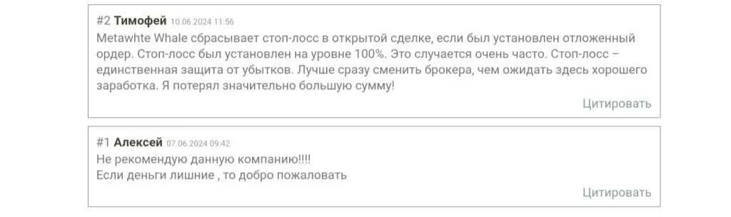 отзывы о metawhitewhale