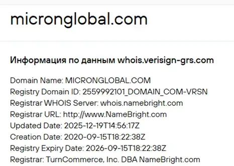 micronglobal