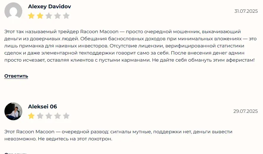 racoon macoon крипто