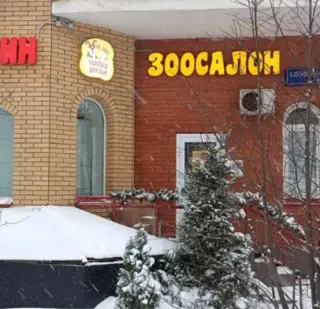 Михалева Надежда — отзывы и рейтинг