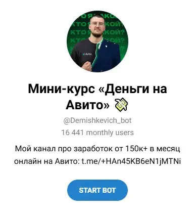 мини курс деньги на авито отзывы