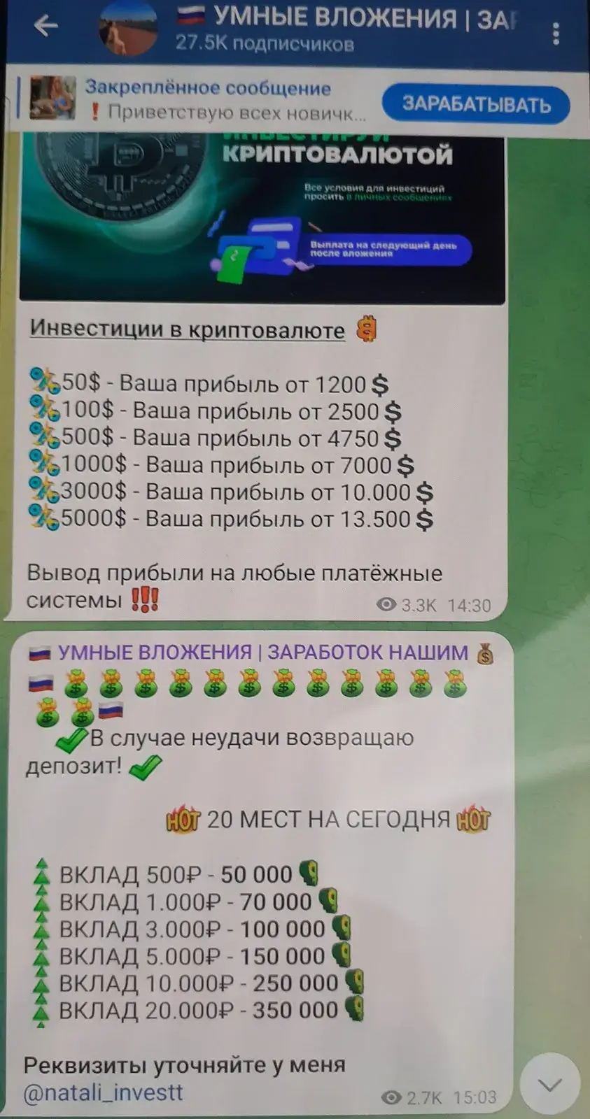 natali investt