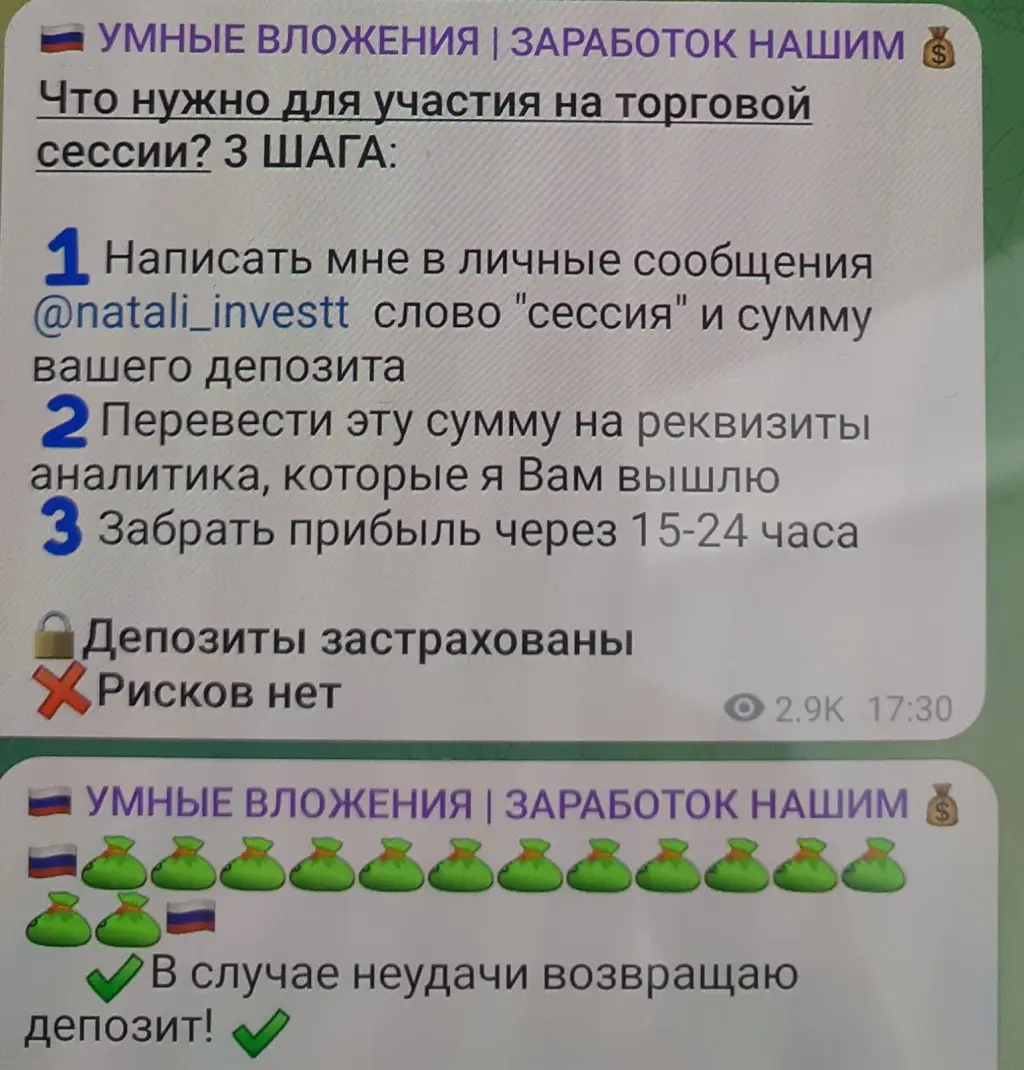 natali investt отзывы