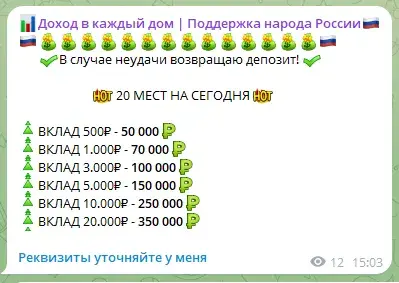 Доход в каждый дом Поддержка народа России