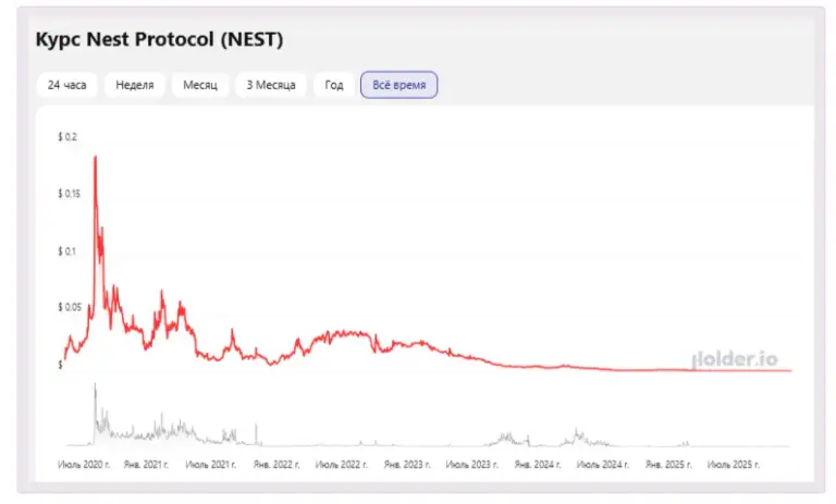 nest курс