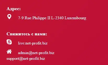 net profit biz