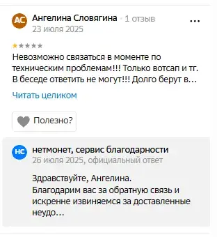 чаевые нетмонет ко
