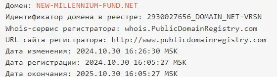 new millennium fund new millennium fund
