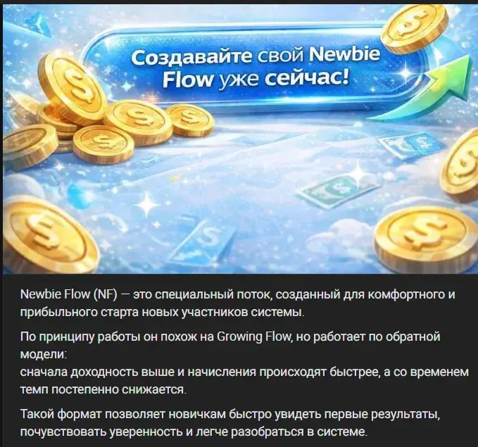 newbie flow newbie flow
