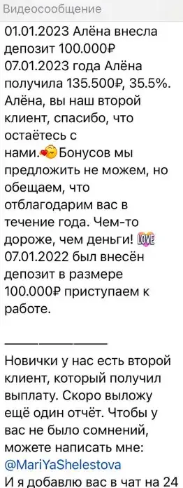 newmeta мария шелестова