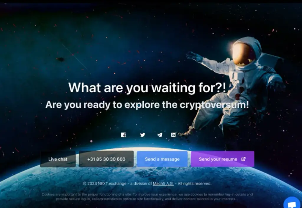 nextex telegram канал