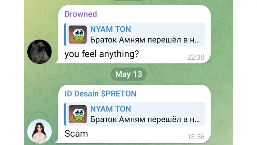 amnyamcoin ton