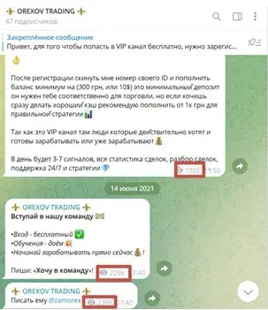 Орехов трейдинг Орехов трейдинг