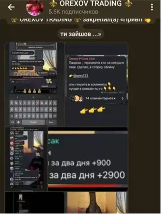 Orexov trading Orexov trading