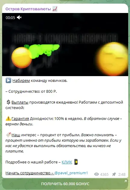 павел некрасов криптовалюта