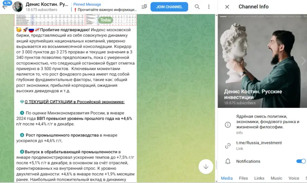 отчеты русские инвестиции проект