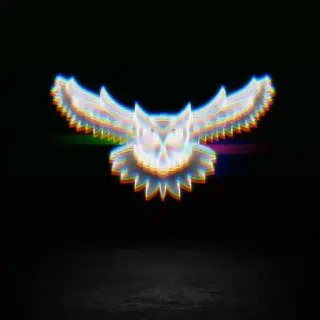 Owl in Trade — отзывы и рейтинг