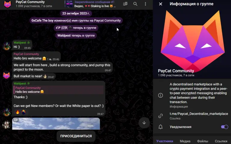 paycat