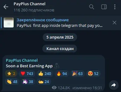 Pay Plus Earning Pay Plus Earning