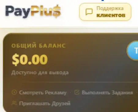 PayPlus Earning