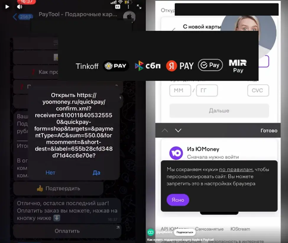 paytool ru bot отзывы