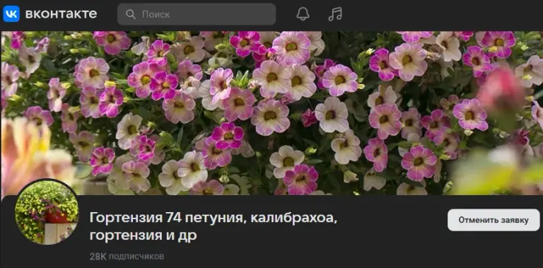 группа вегетативные черенки в телеграмм наталья отзывы