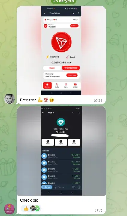 piloton telegram игра