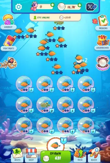 pirate frenzy