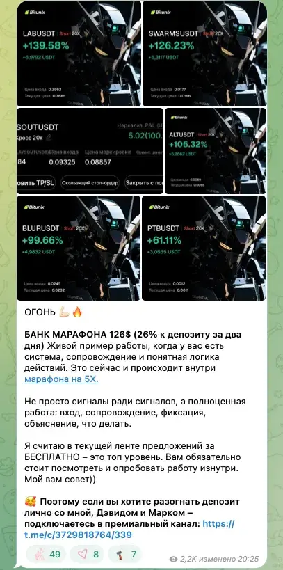 инвесторша полина