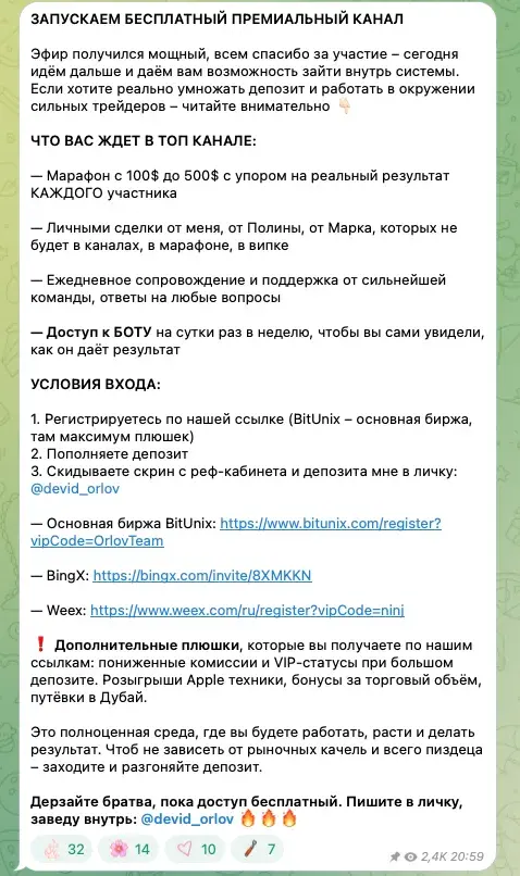 трейдерша полина