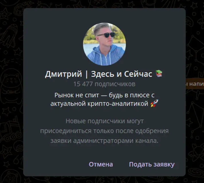 premium dmitry official