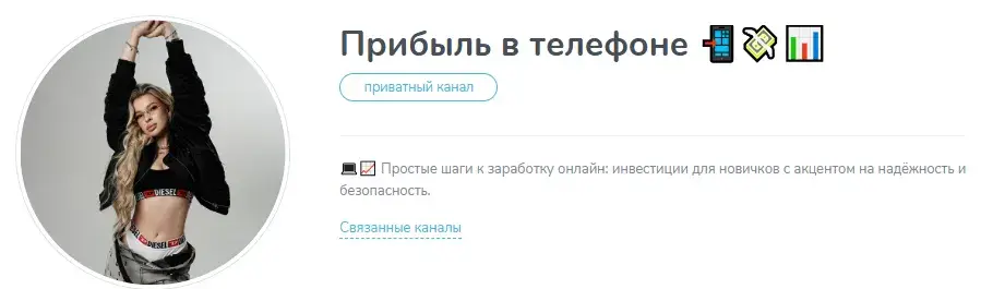 Прибыль в телефоне
