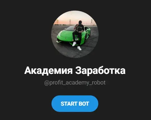 Академия Заработка