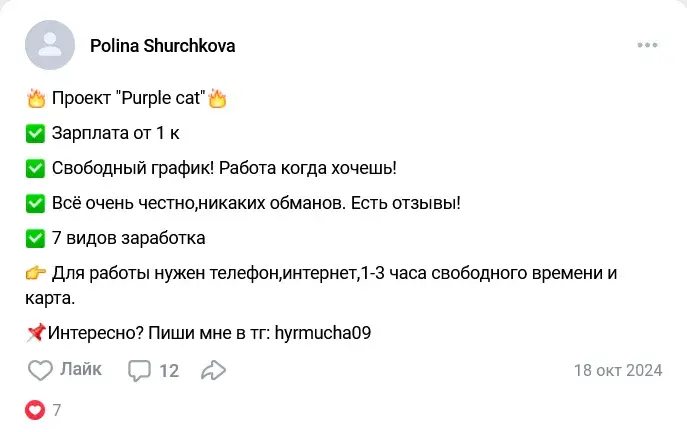 проект purplecat заработок