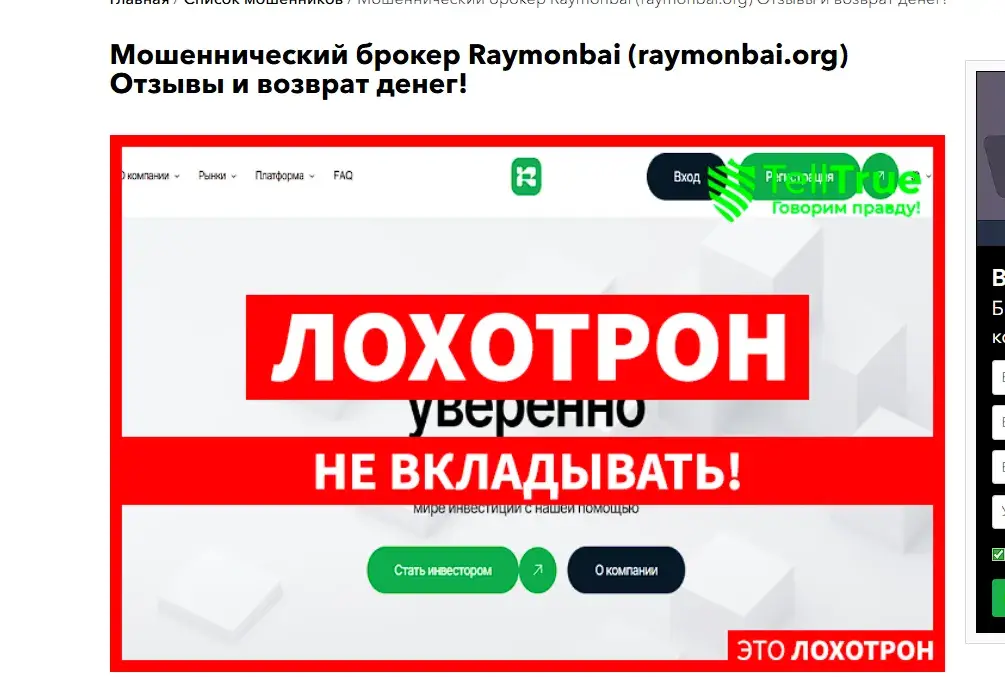 raymonbai org