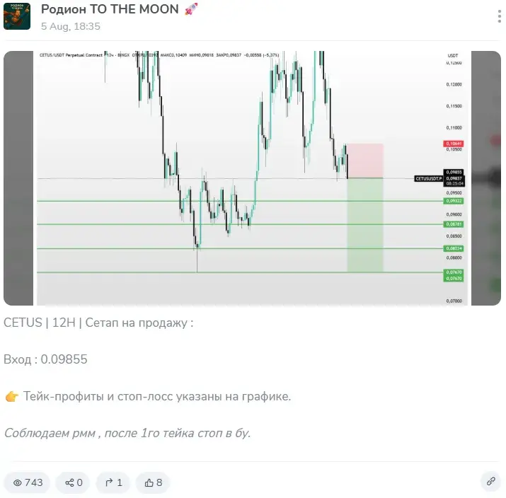 родион to the moon