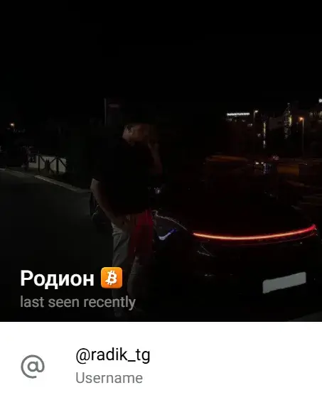 родион to the moon