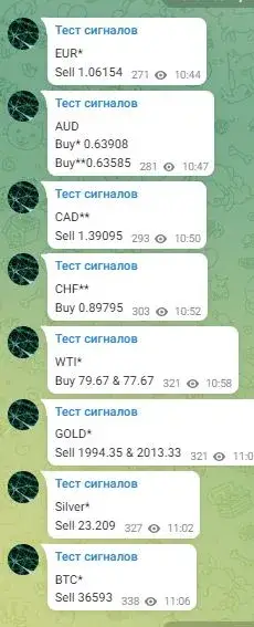 Отзывы на обучение Романа Анкудинова