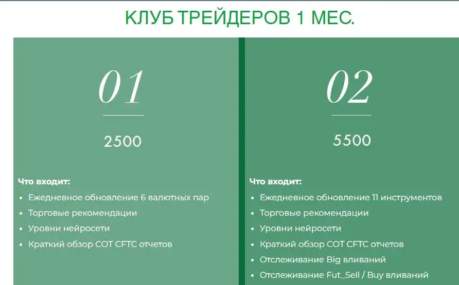 Роман Анкудинов инвестиции