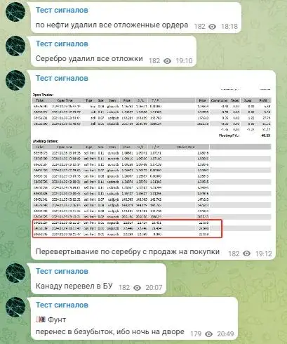 Роман Анкудинов реальные отзывы