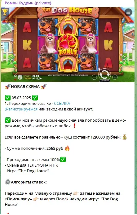 Роман Кудрин private