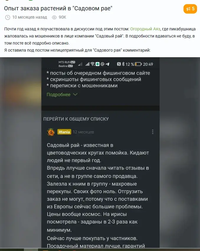 рассада саженцы садовый рай в телеграмм отзывы