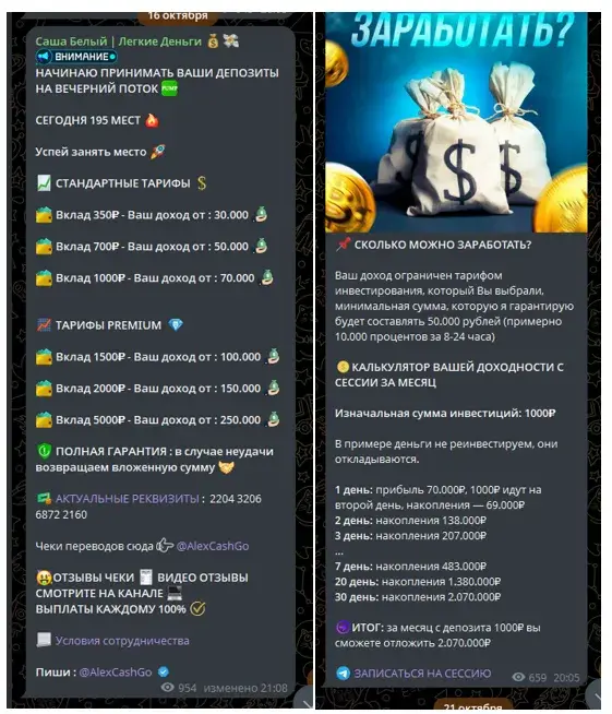 саша белый тг канал